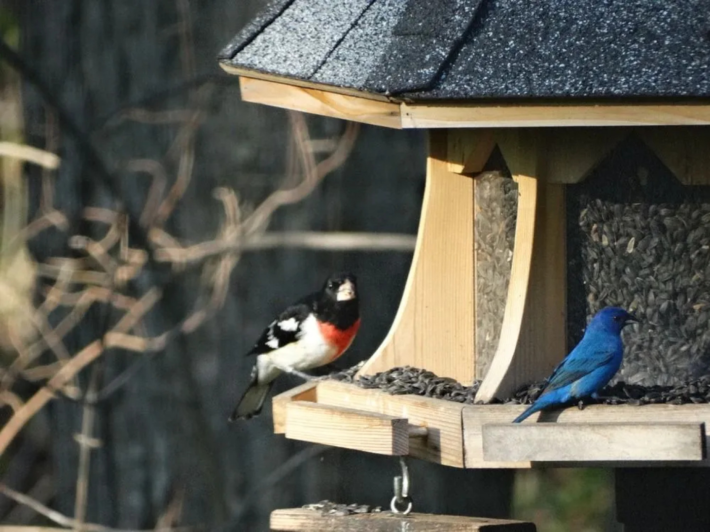 Tranquil Moments Bed & Breakfast