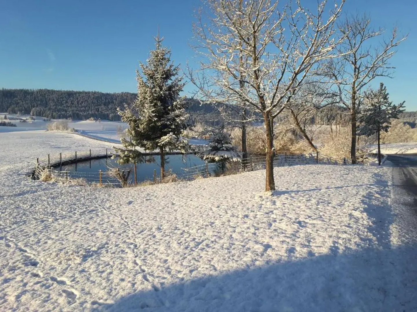 Ferienhof Kienbronnerhof