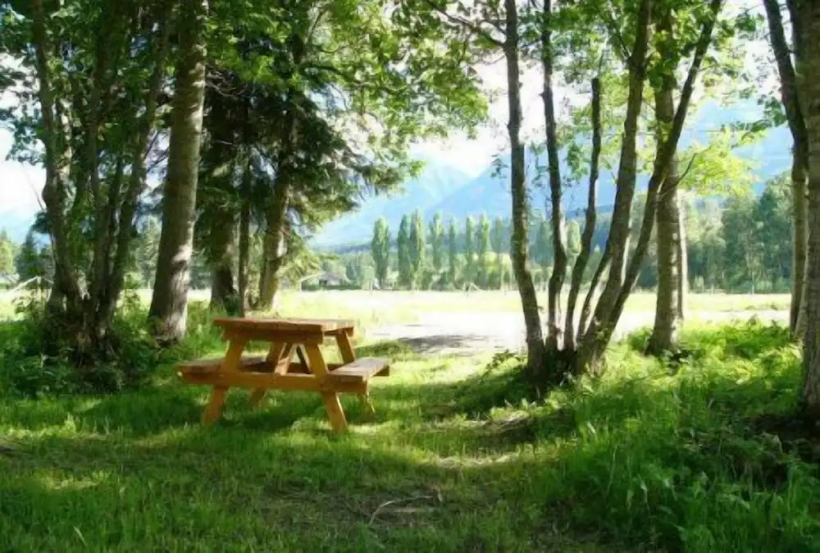 Golden Eco-Adventure Ranch