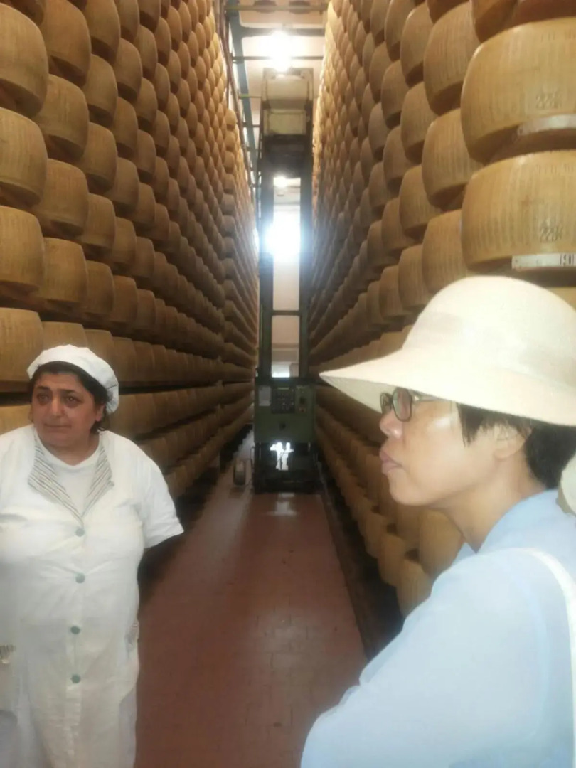 App.to Pian del Ronco