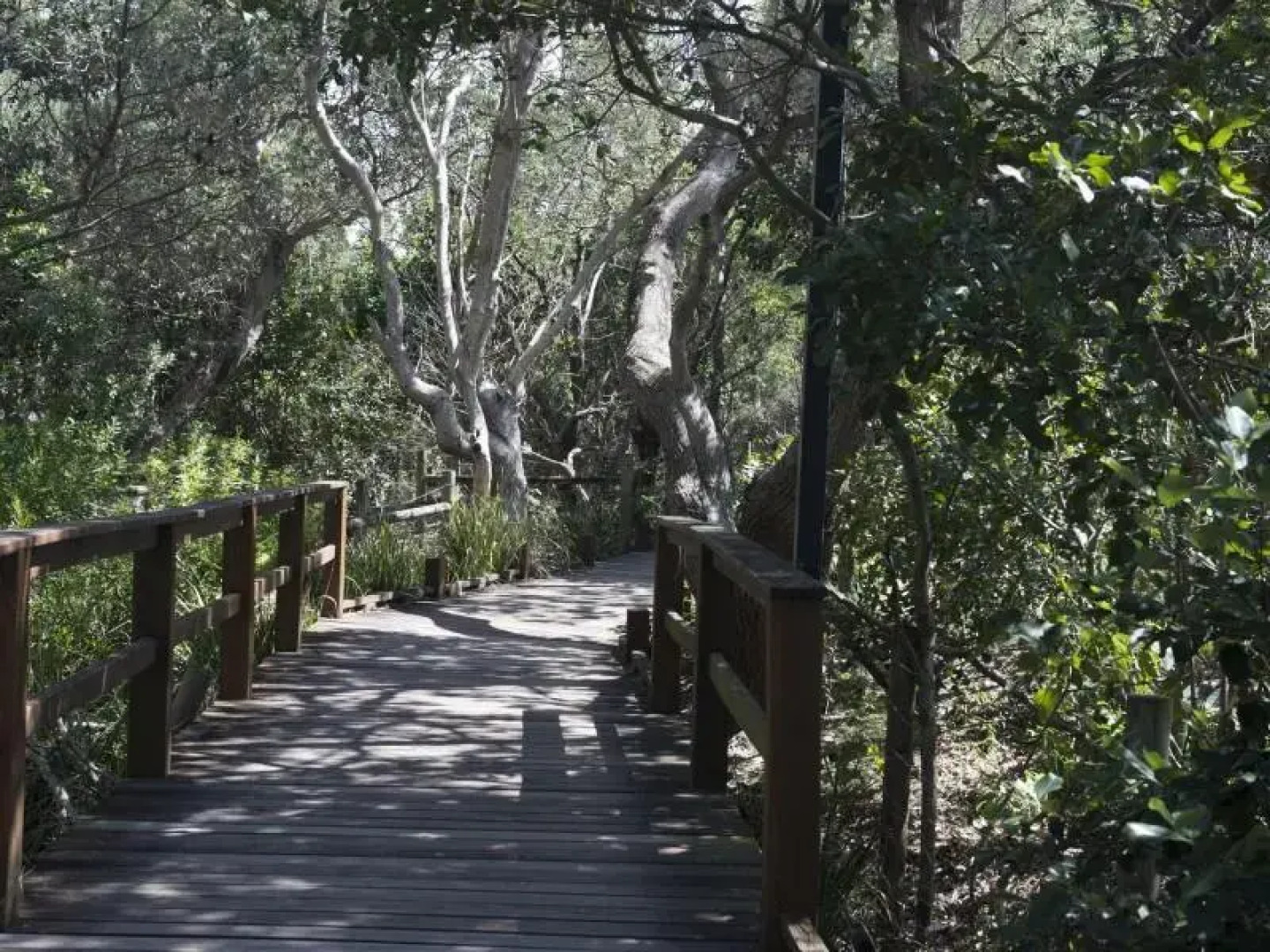 Apartment Windmill 6