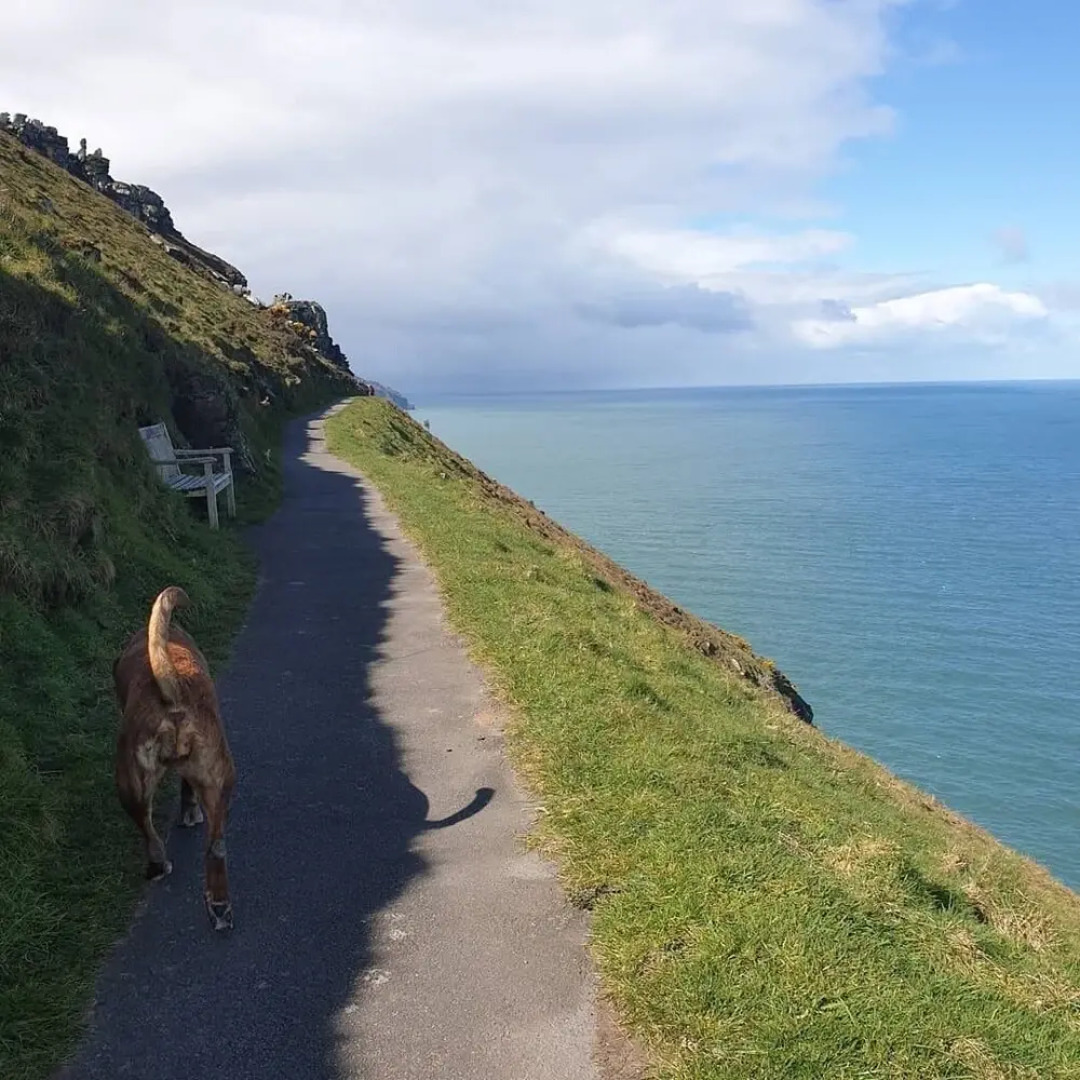 St Vincent Guest House