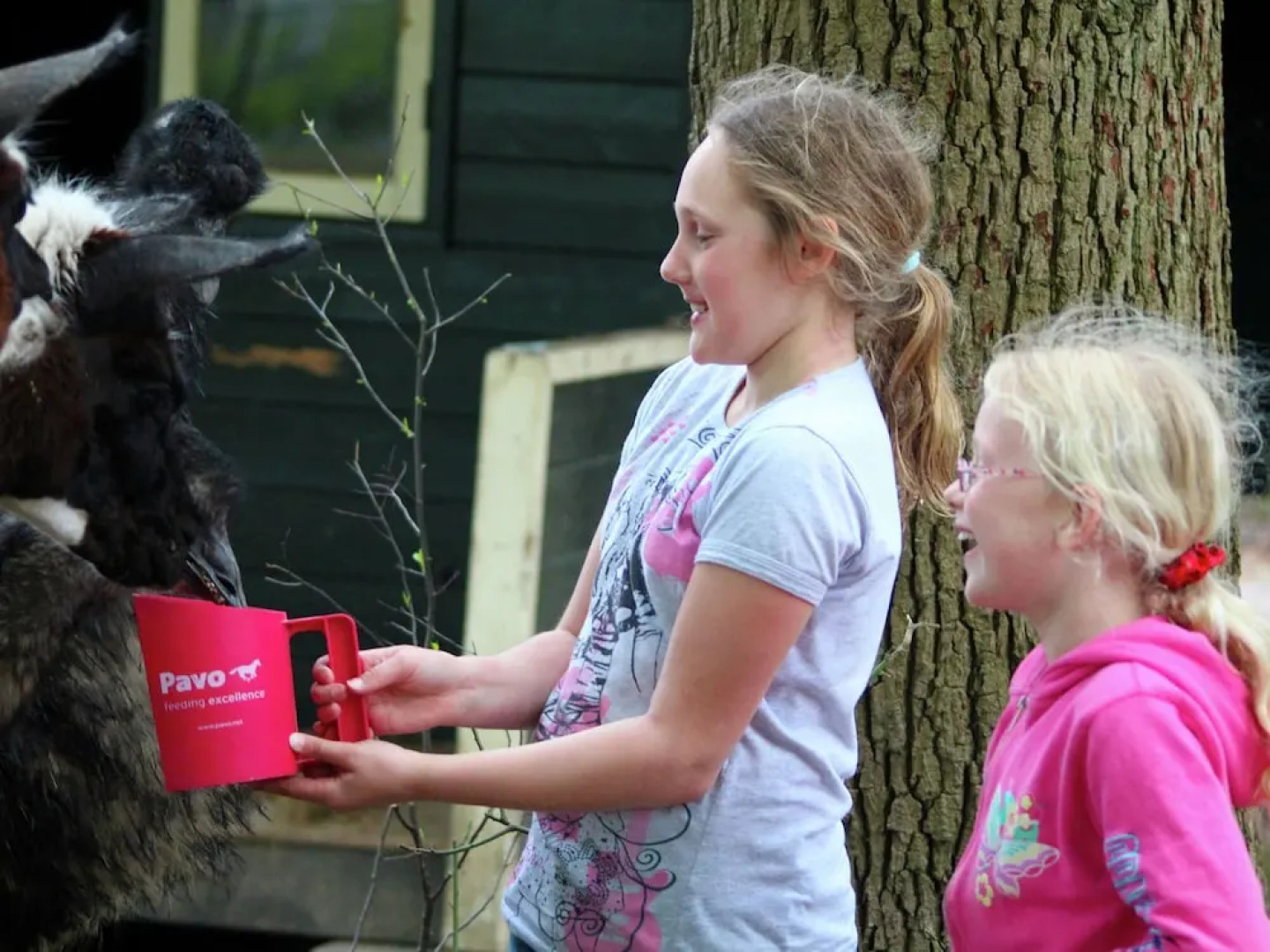 Cozy Accommodation in two Parts, by the Forest