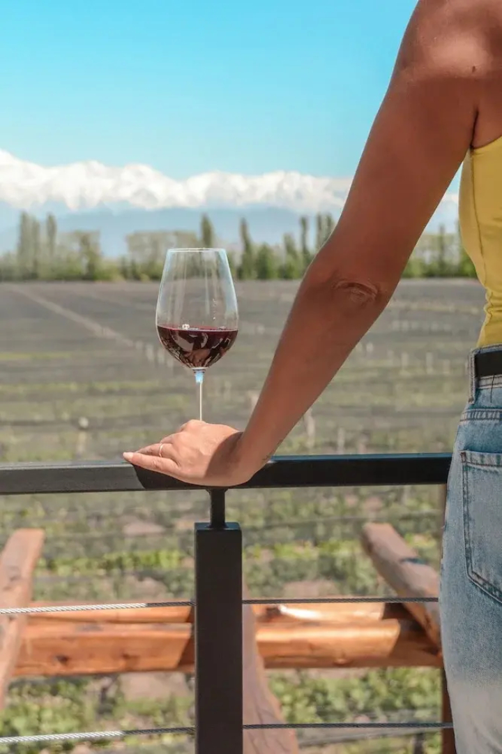 Agrelo Vines Lodge