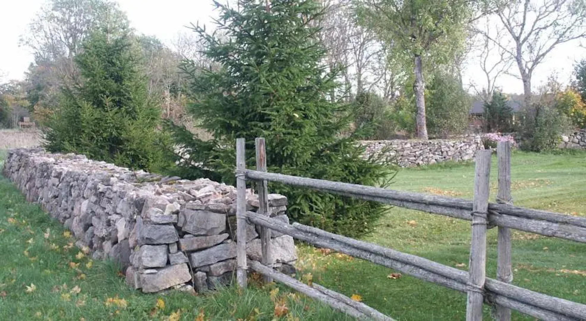 Igaküla Matsi Puhkemaja