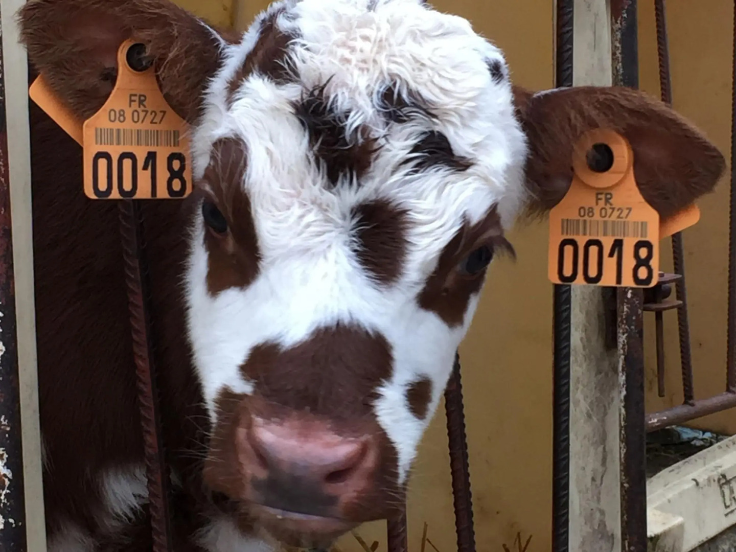 Romantic Holiday Home in Barricourt with Barbecue