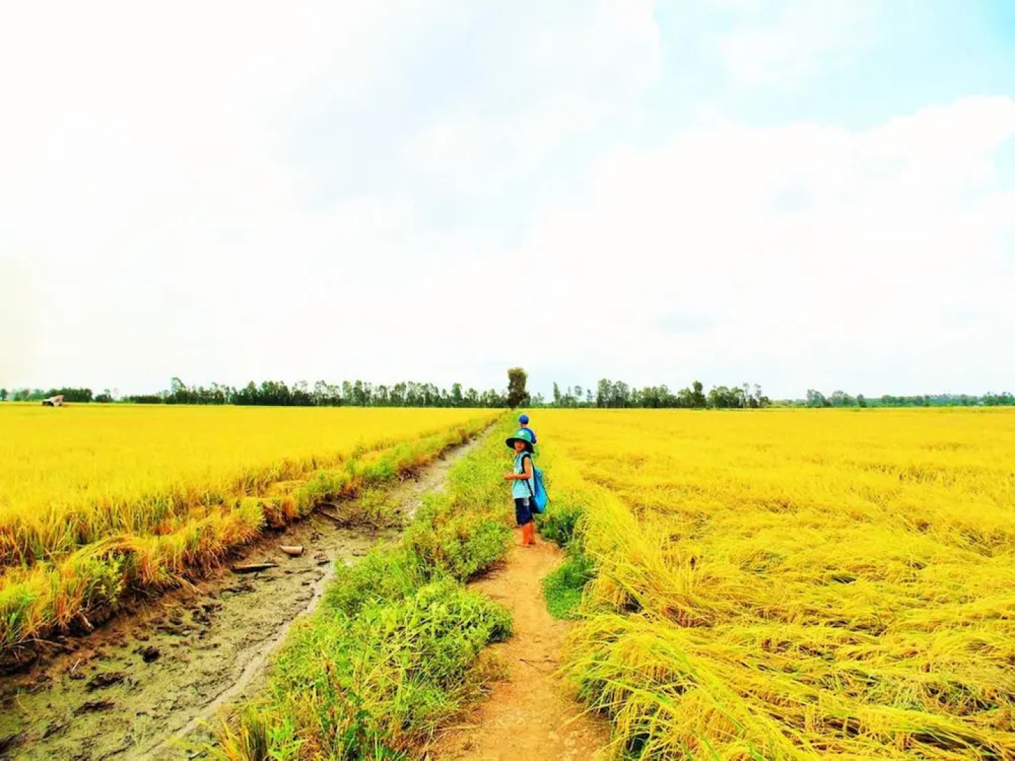 Hai Lua Homestay (Lotus Lake Homestay)