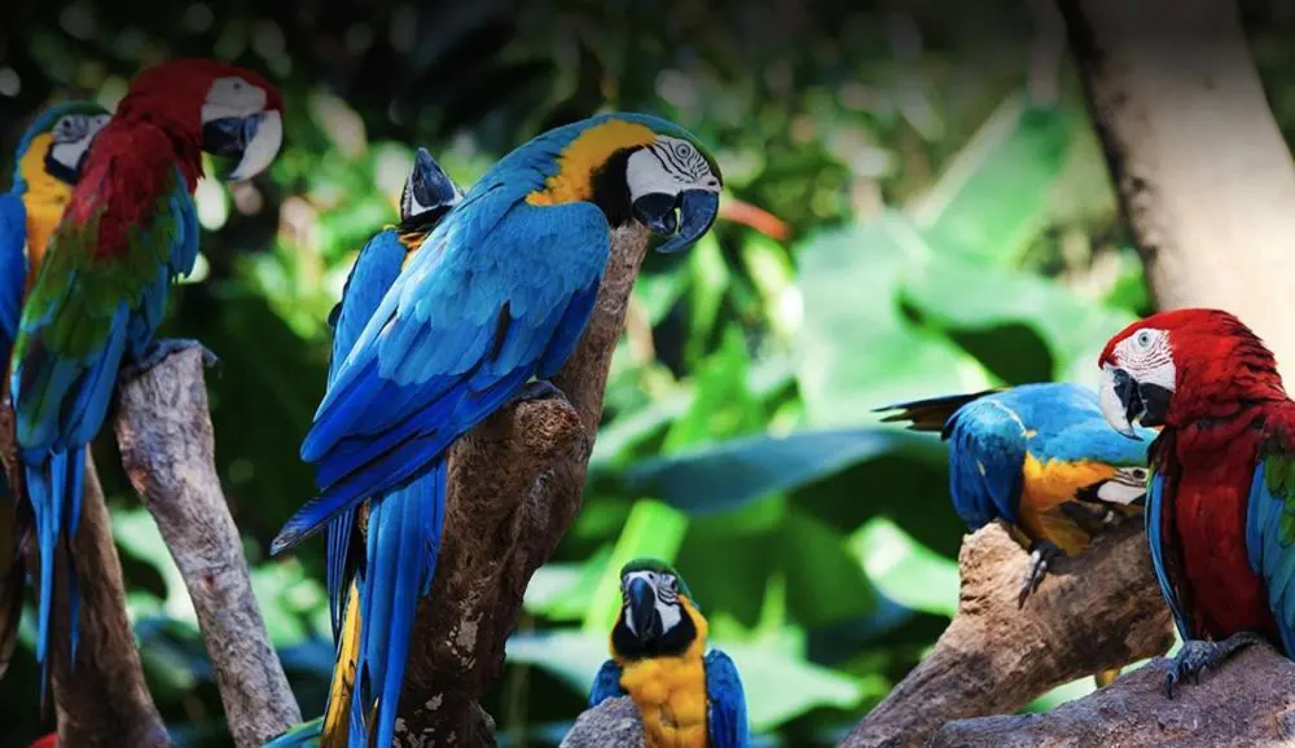 Icoden House & Perfect for You