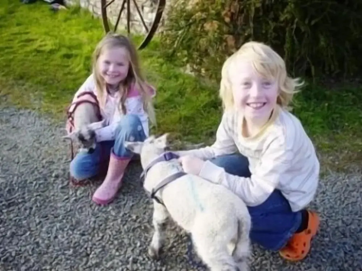 Birchill Farm Holiday Cottages