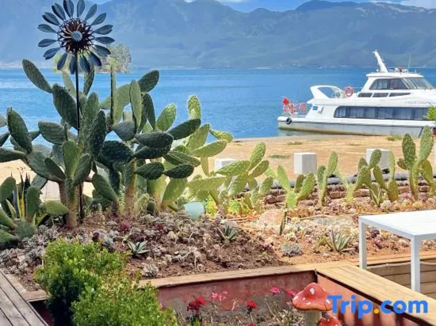 Nibawo Muchen Hostel