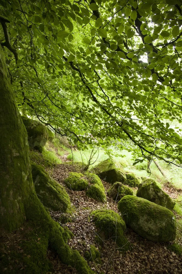 The elbowroom escape