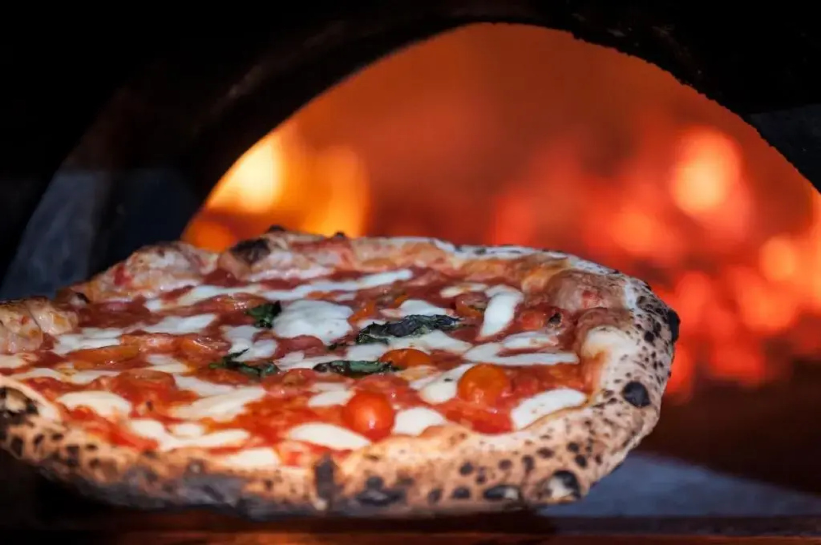 Villa Islamorada - Pool And Sea View