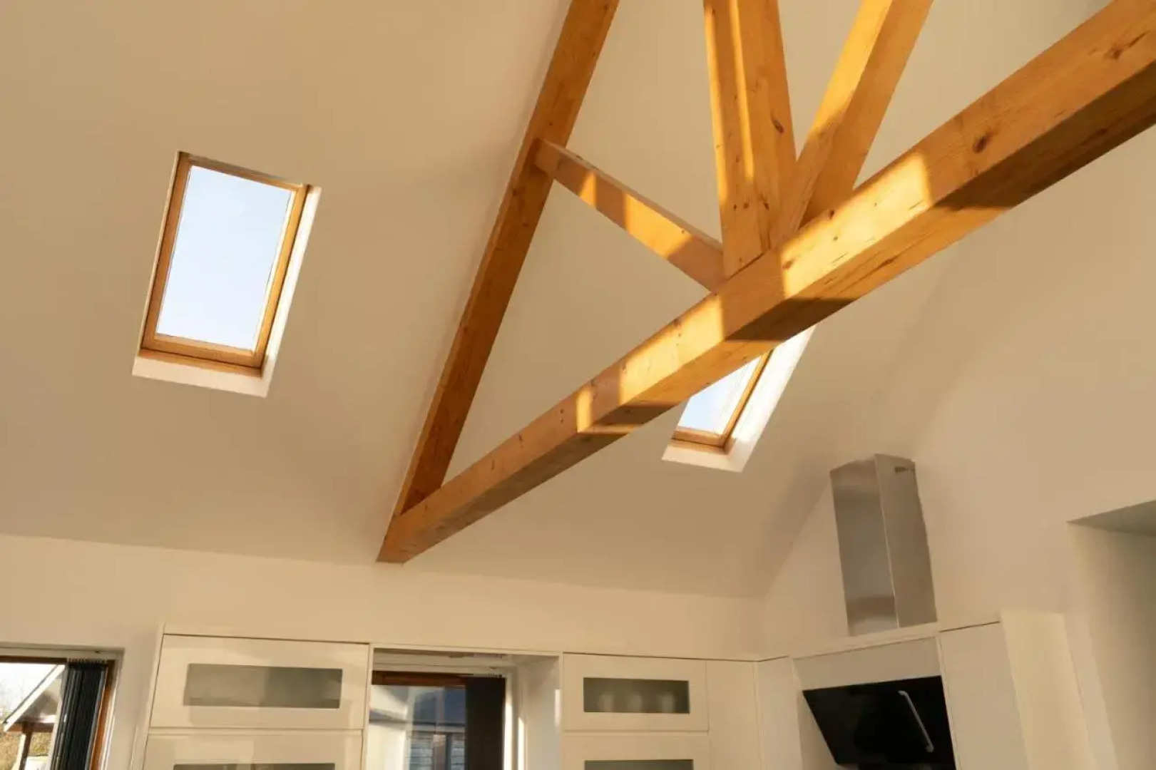 The Green Monkey (Adults Only)