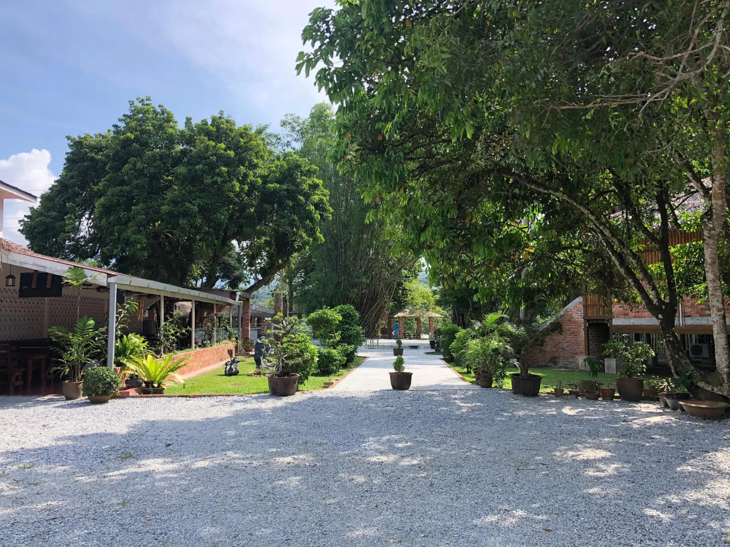 The Roots Eco Resort