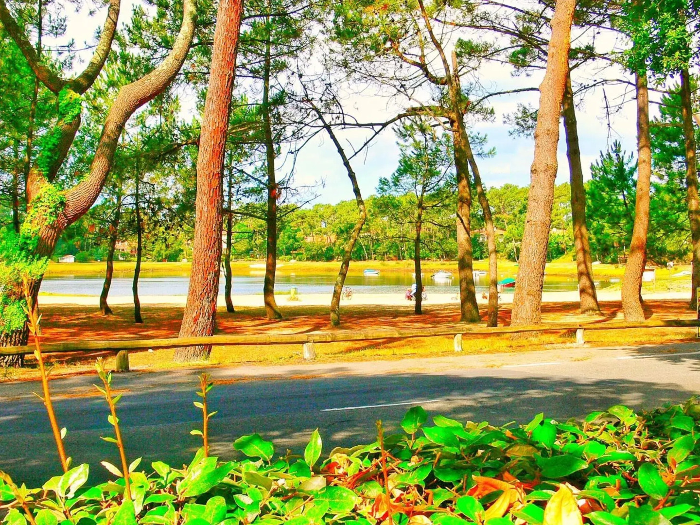 Résidence Hôtelière les Acanthes