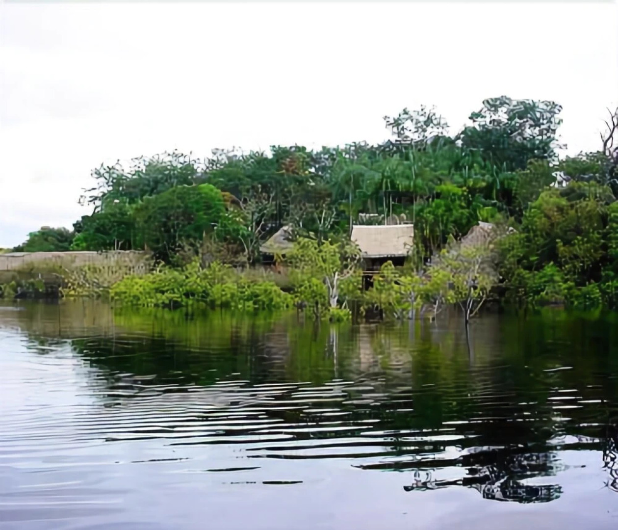 Tariri Amazon Lodge