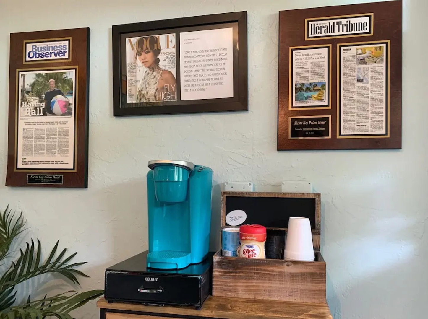 The Elephant Ear Cabanas