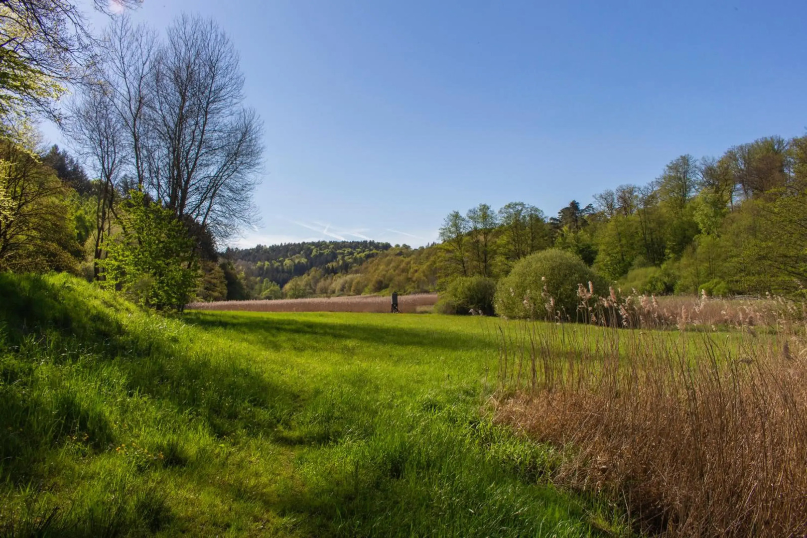 Wonderful Apartment With Great Location