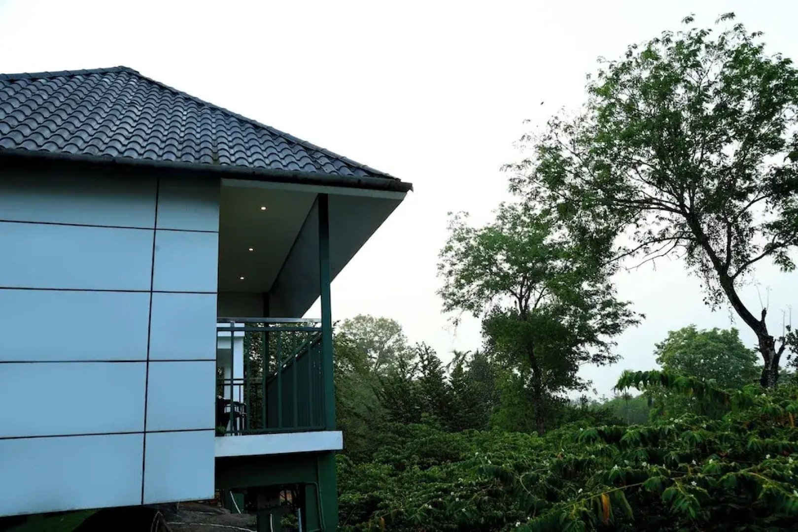 Wayanad Cave N Pillar Resort