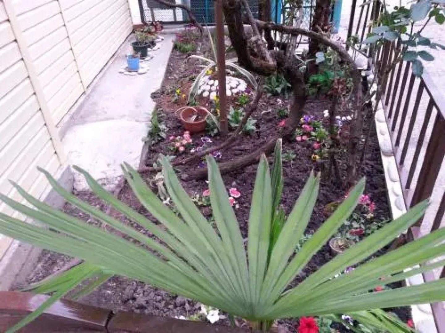 Orkhideya Guest House