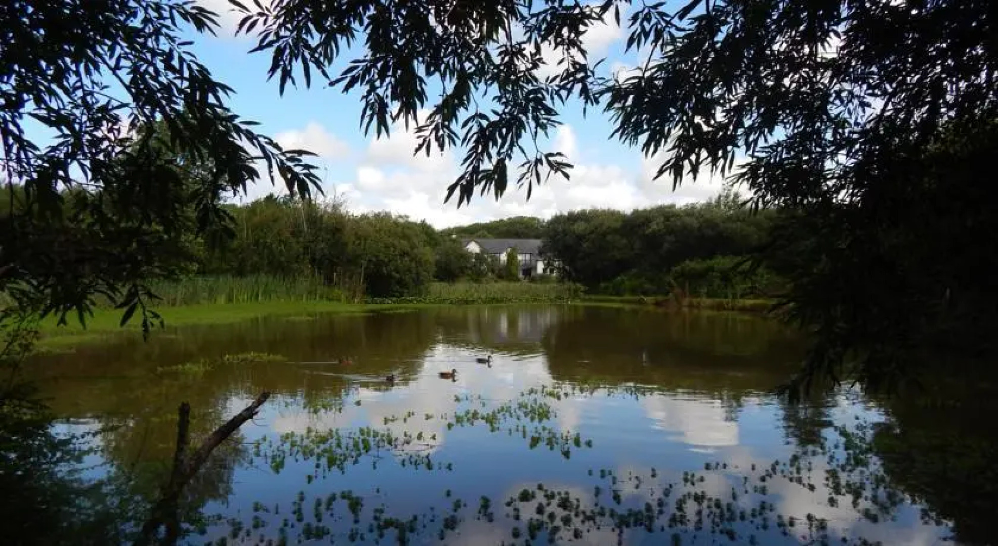 Grimscott Country Retreat