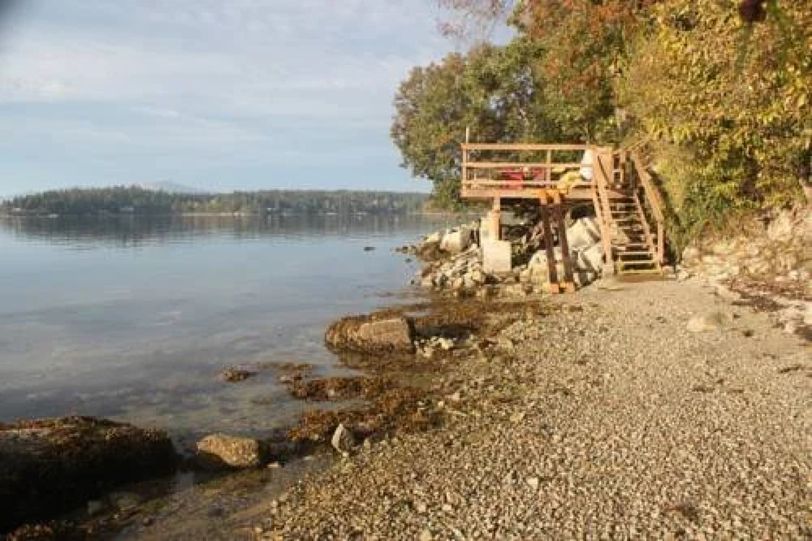 Dragonfly Beach House Bed and Breakfast