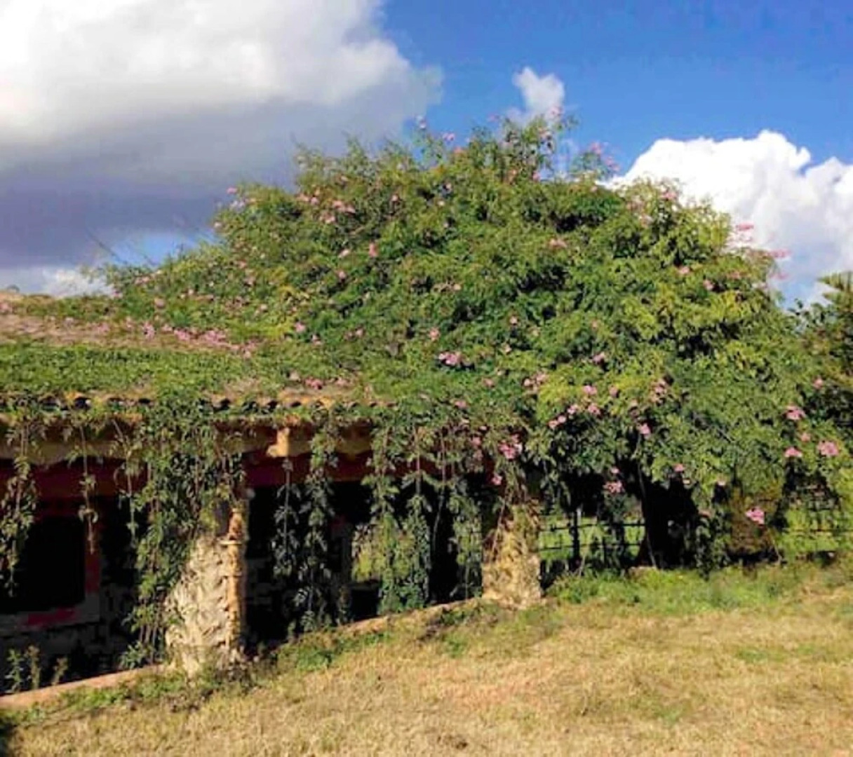 House With one Bedroom in Llubí, With Wonderful Mountain View, Shared Pool, Enclosed Garden Near the Beach