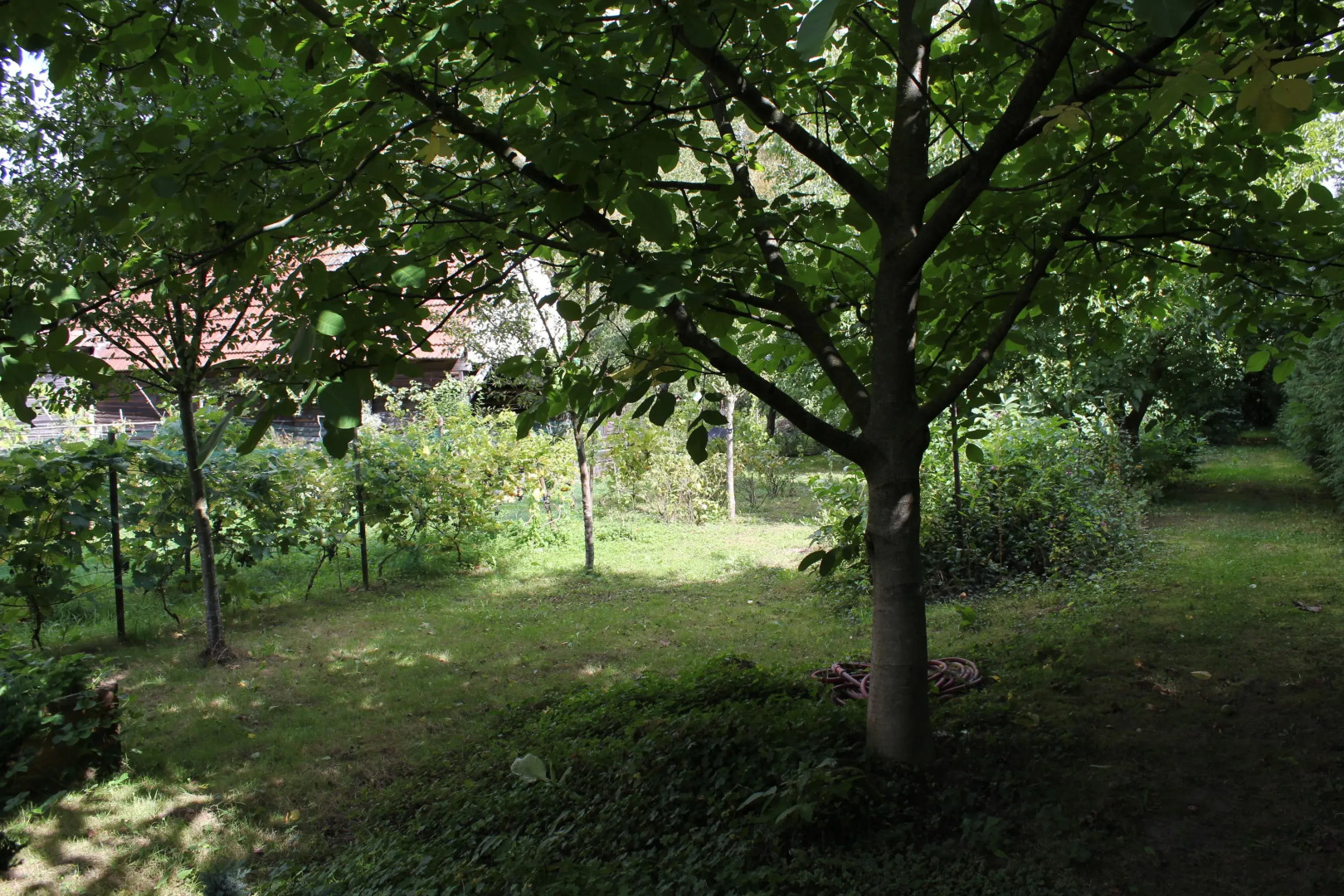 Chez Salomé et Fritz