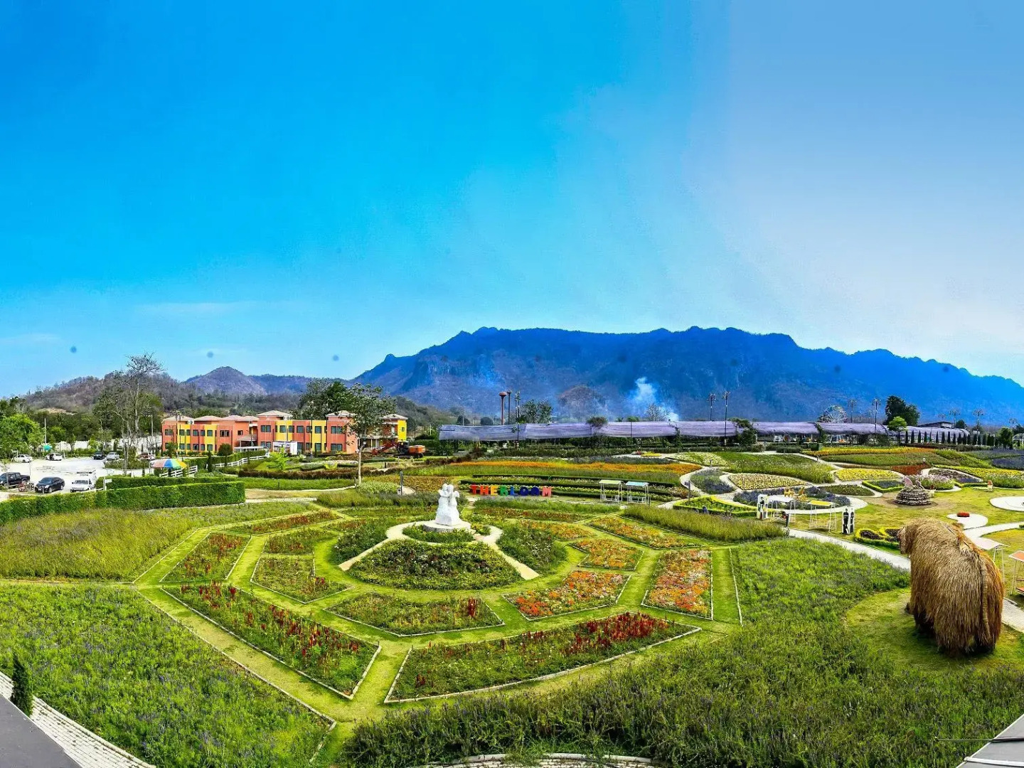 The Bloom by TV Pool