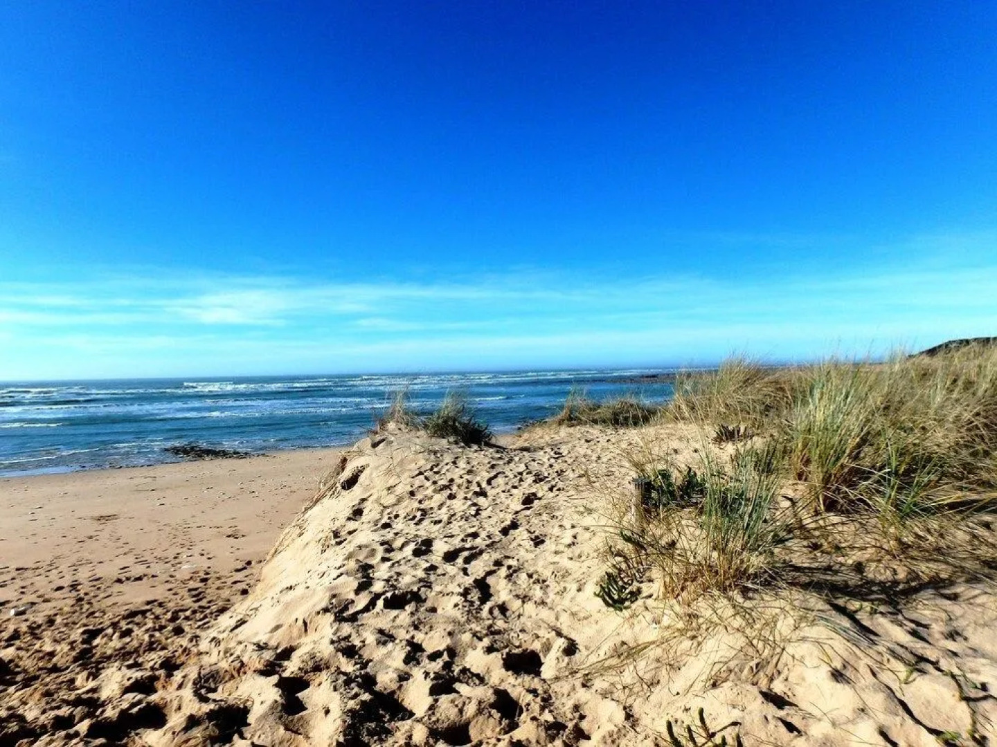 Les Jardins dAliénor