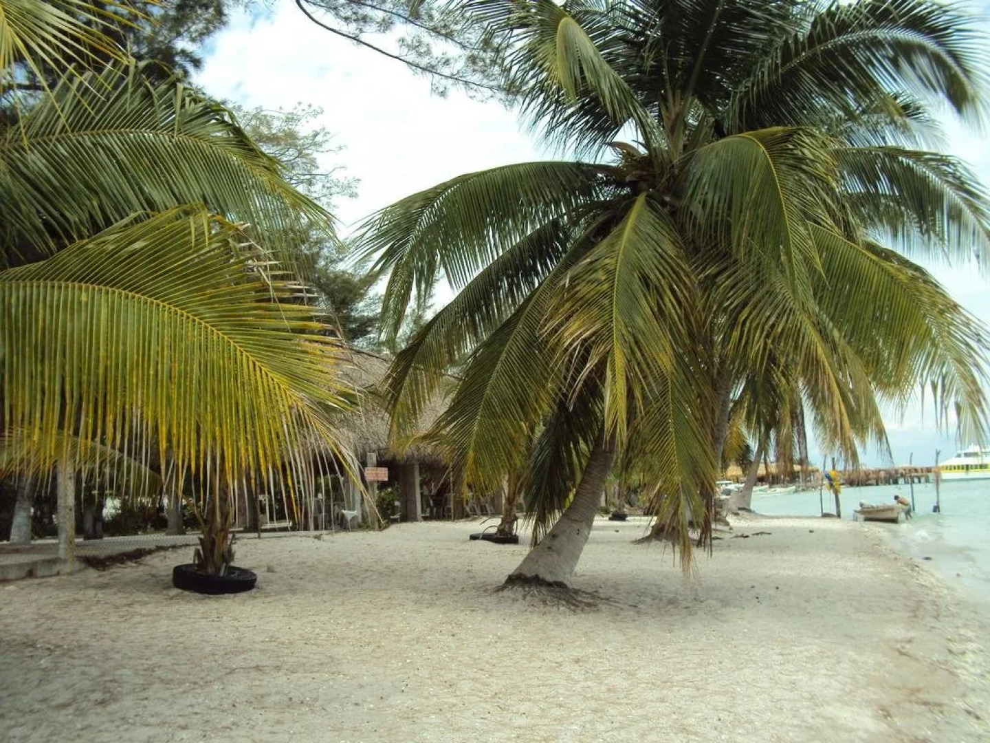 Freedom Shores "La Gringa" Hotel - Universally Designed