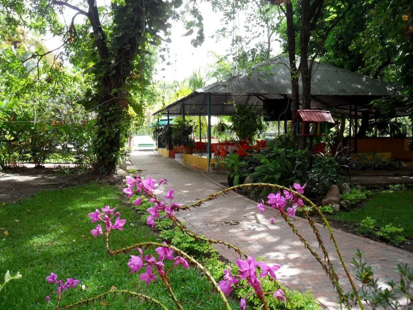 Restaurante Hotel Los Manguitos