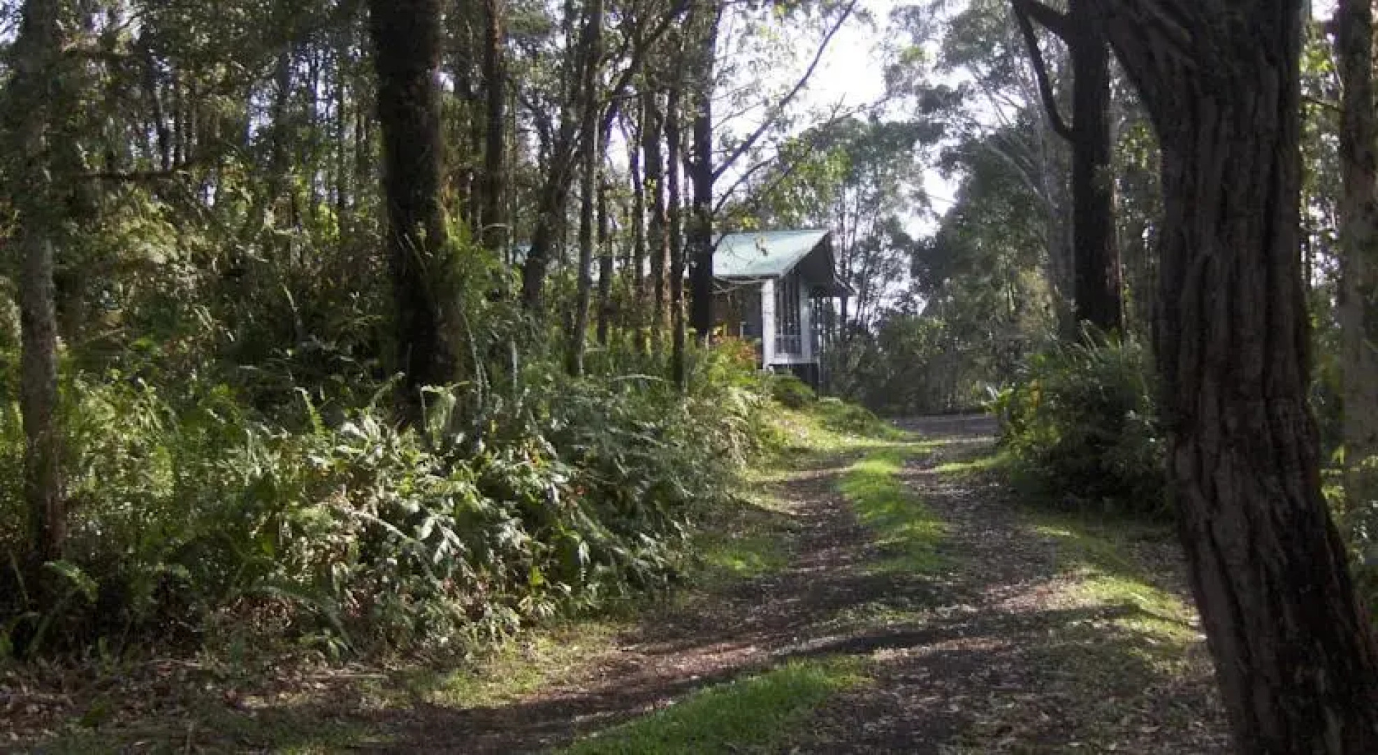 Secluded Rainforest Retreat