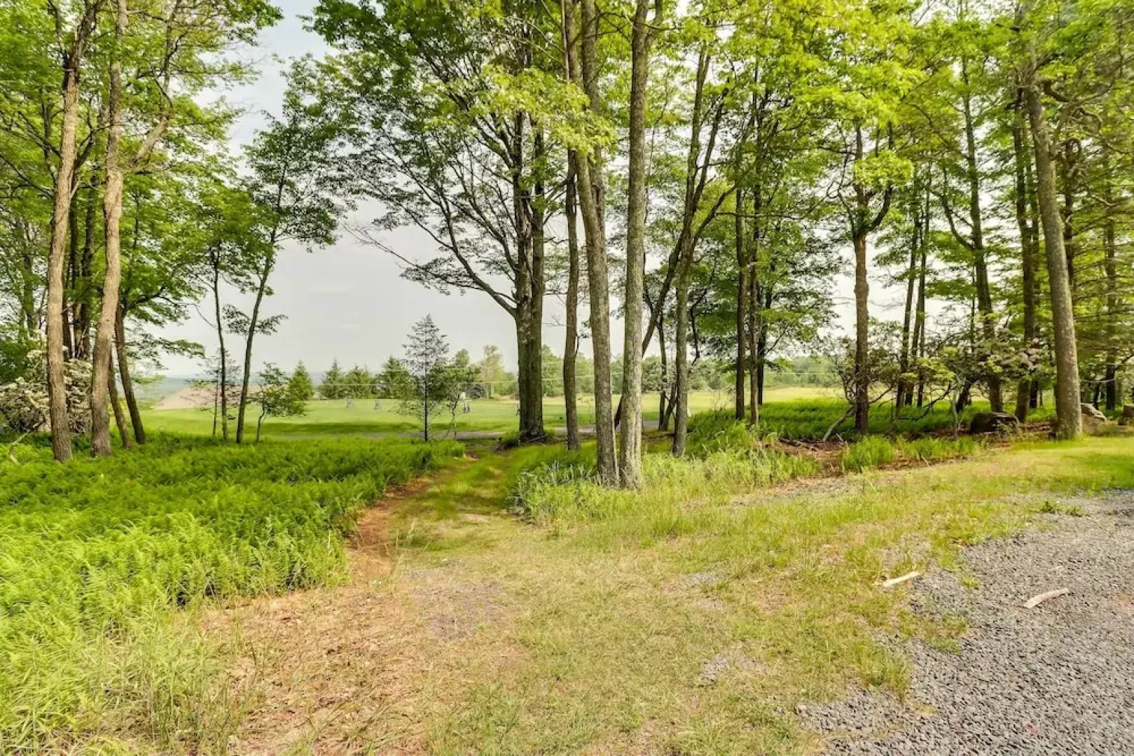 Outdoor Theater, Deck & Fire Pit: Poconos Retreat