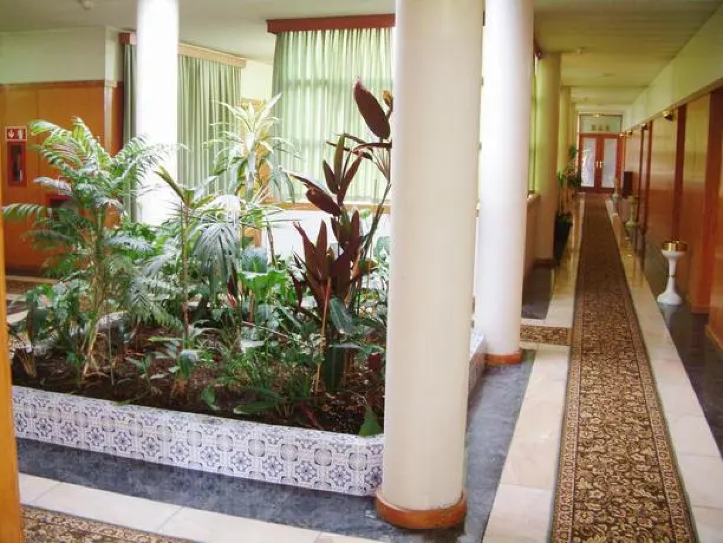 Albergaria Palmeiras