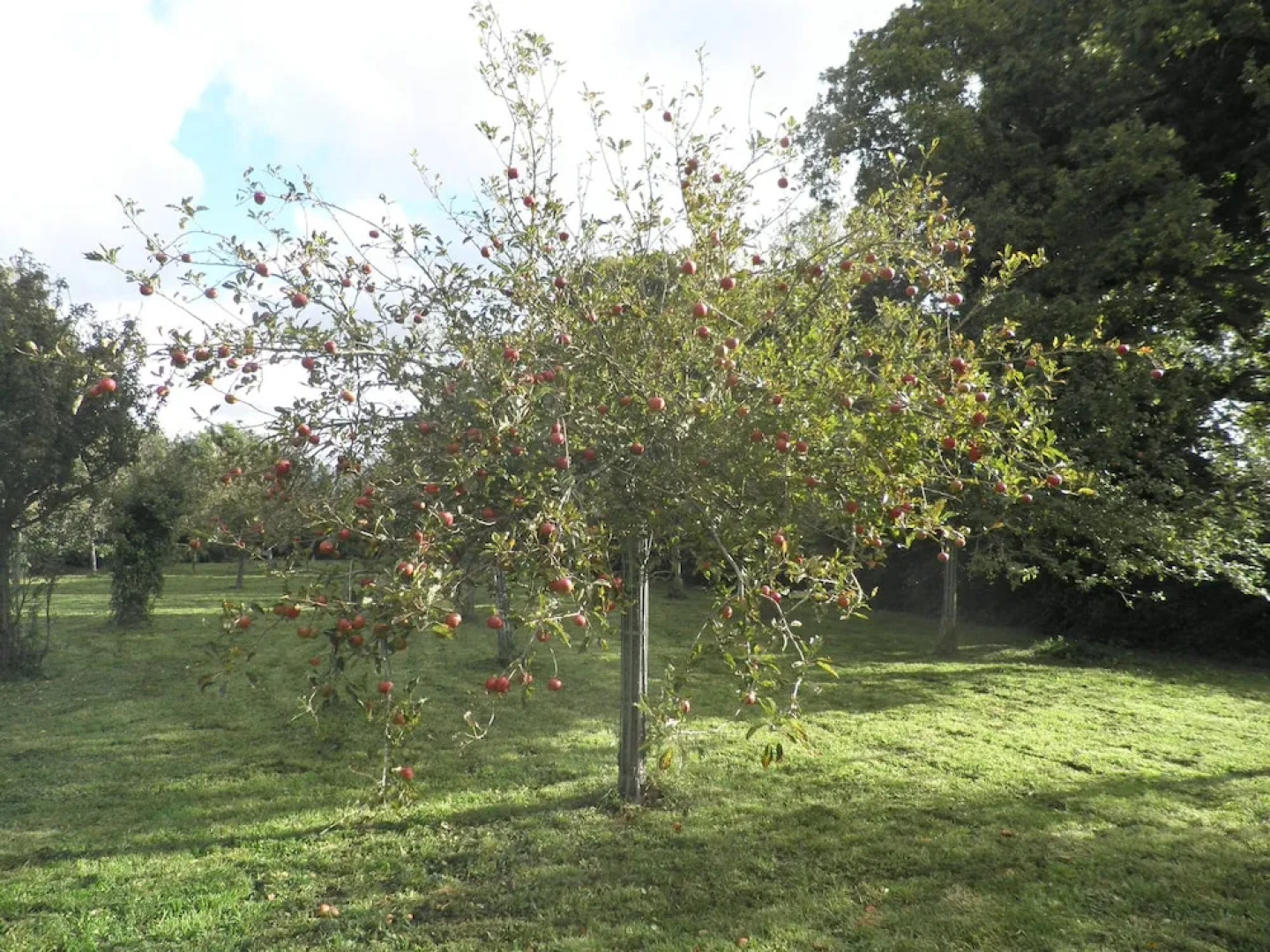 Victoria Arromanches B&B