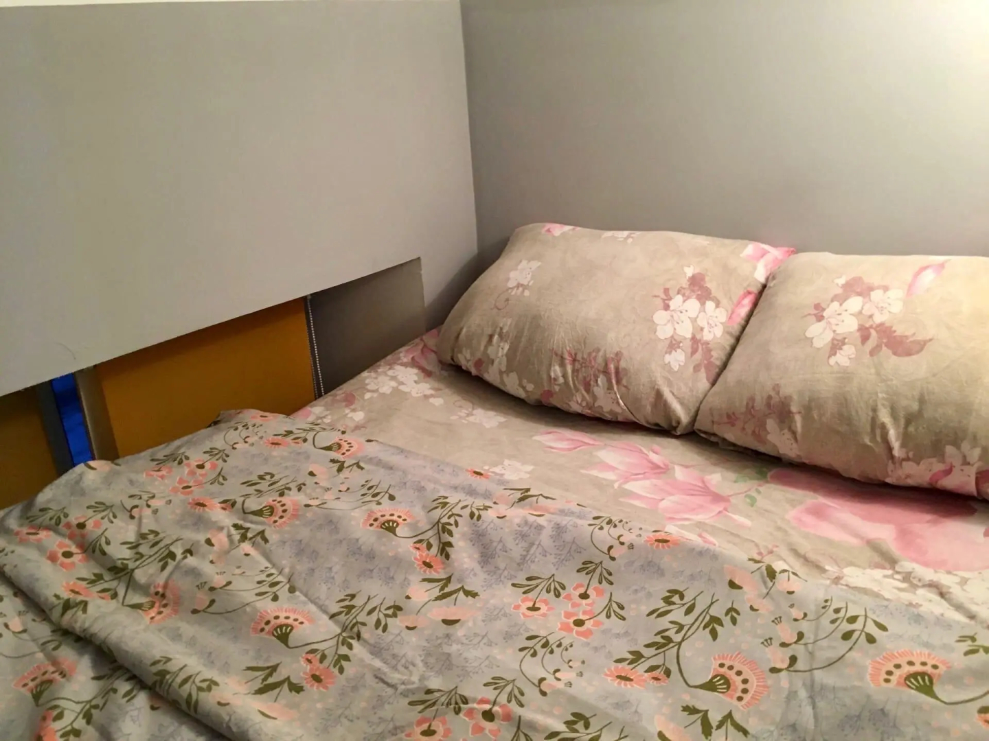 SPBINN Marko (СПБИНН Марко)