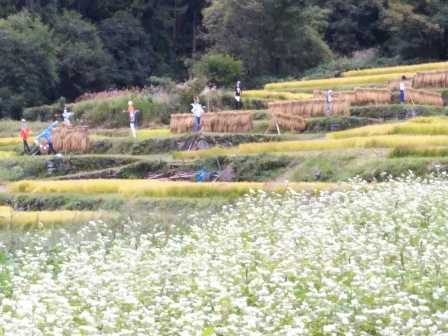 Guest House Hostel yukuru