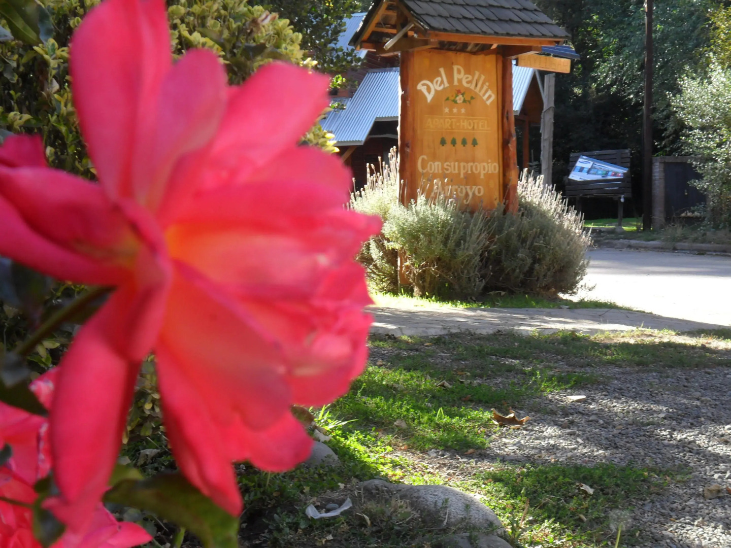 Apart Hotel del Pellín