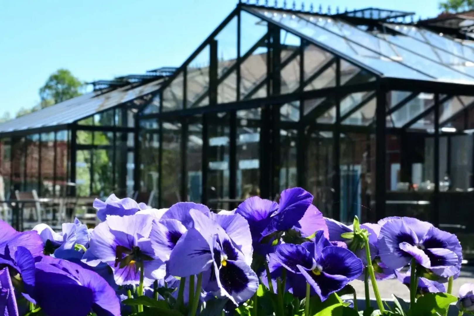 STF Edelviks Folkhögskola Burträsk