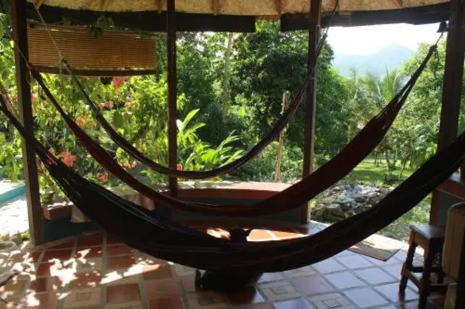 Jaguar Azul Palomino