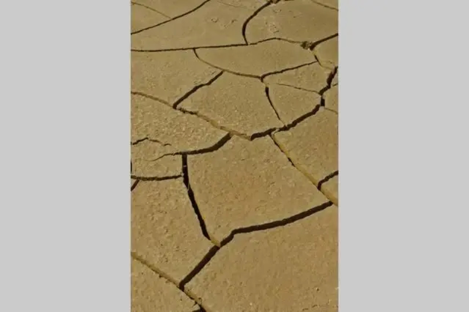 Via Cerreto Apartment