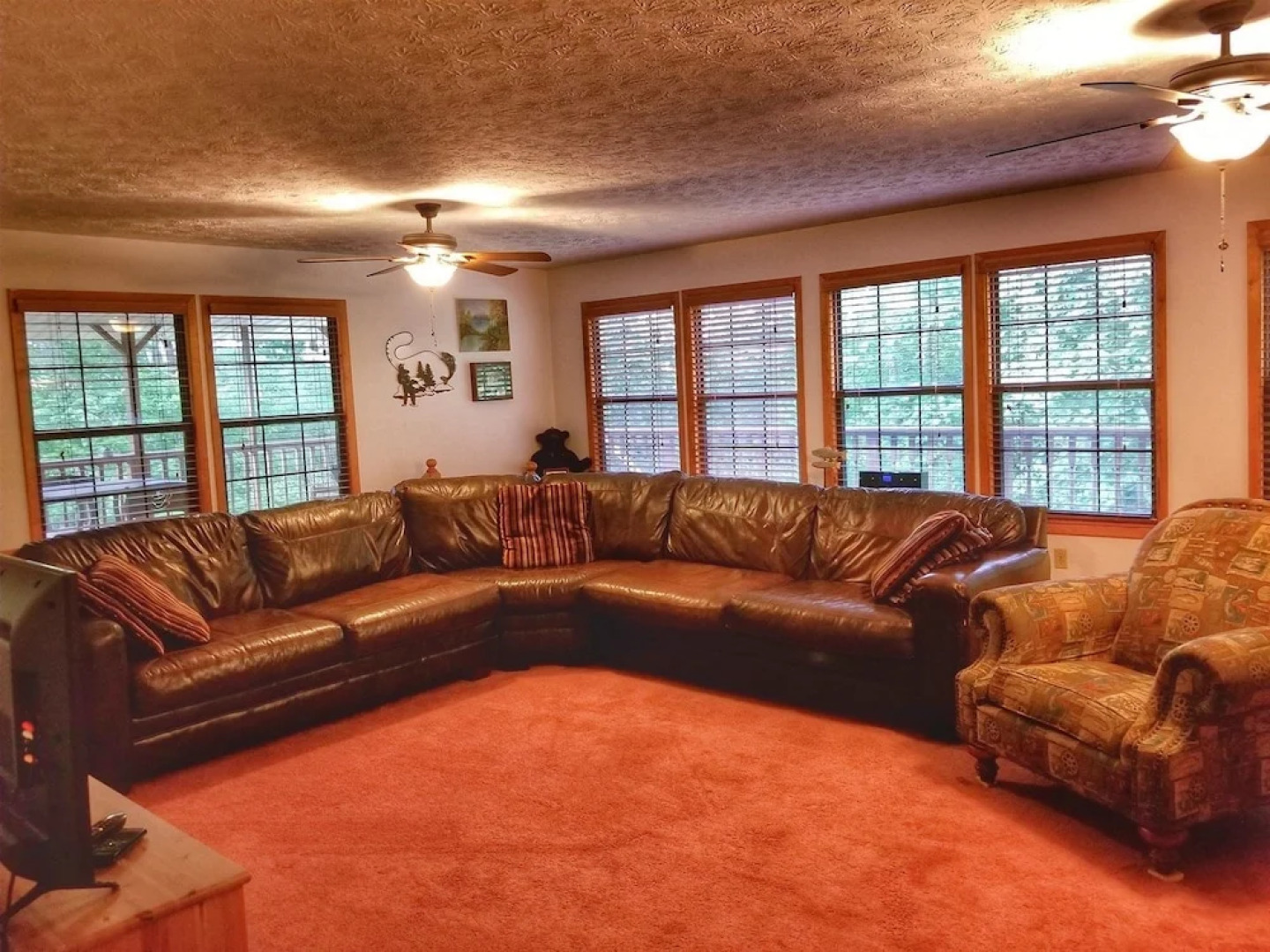 Bear Paw Ridge-Turtletown TN