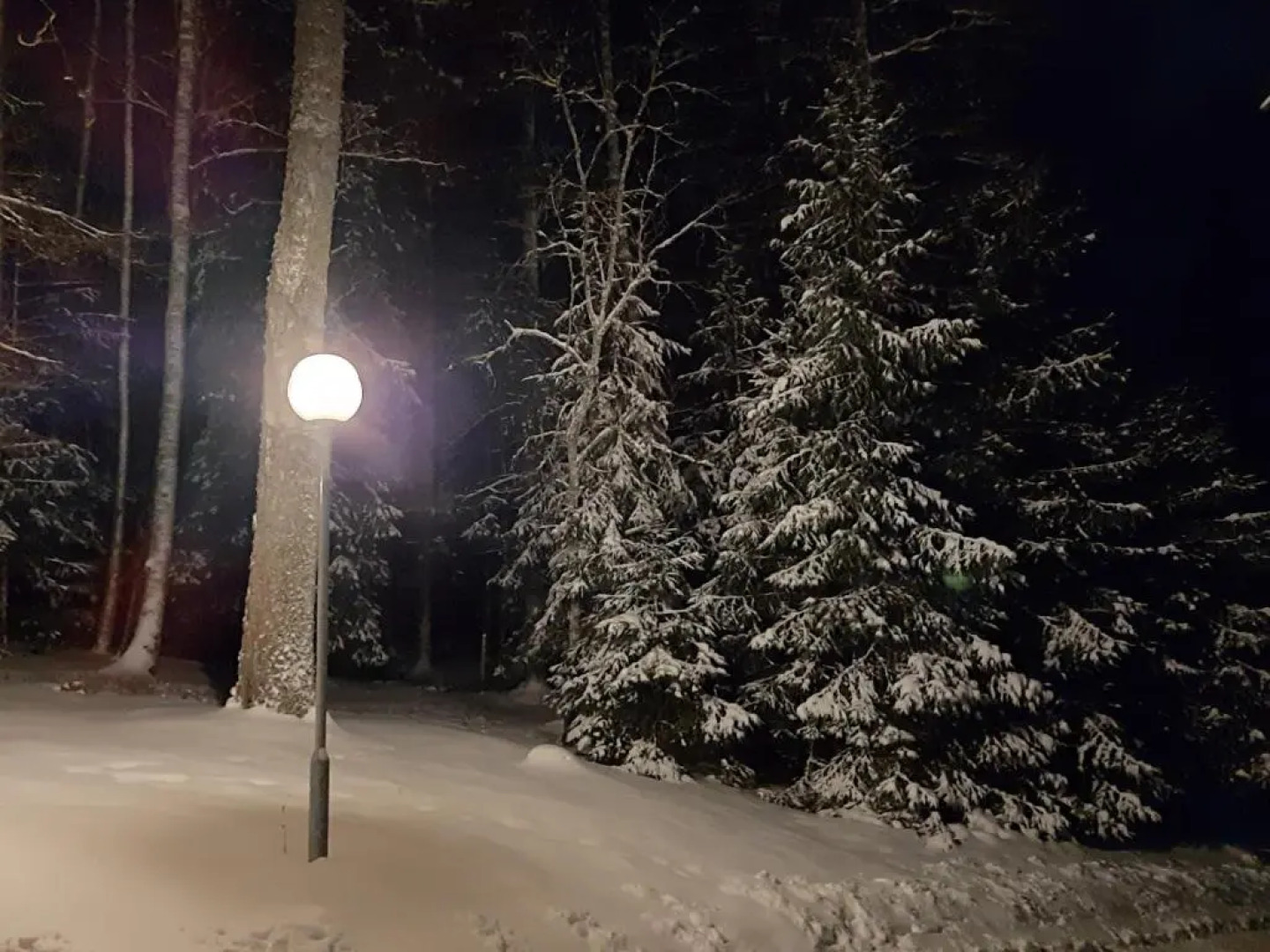 Mellene 1 bedroom house in nature & hot tube