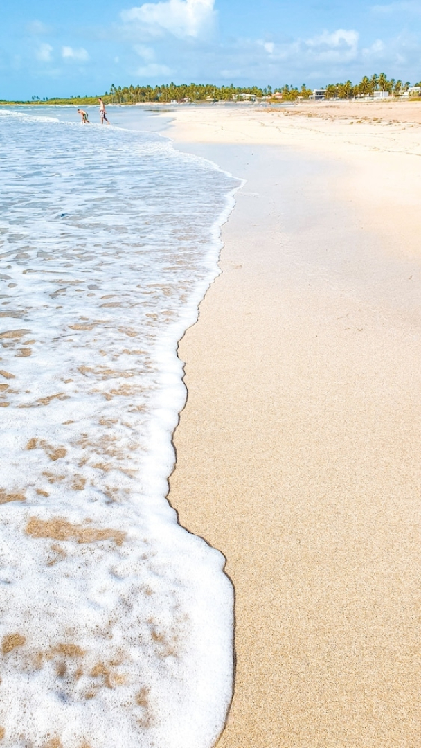 Pousada Paraíso das Palmeiras