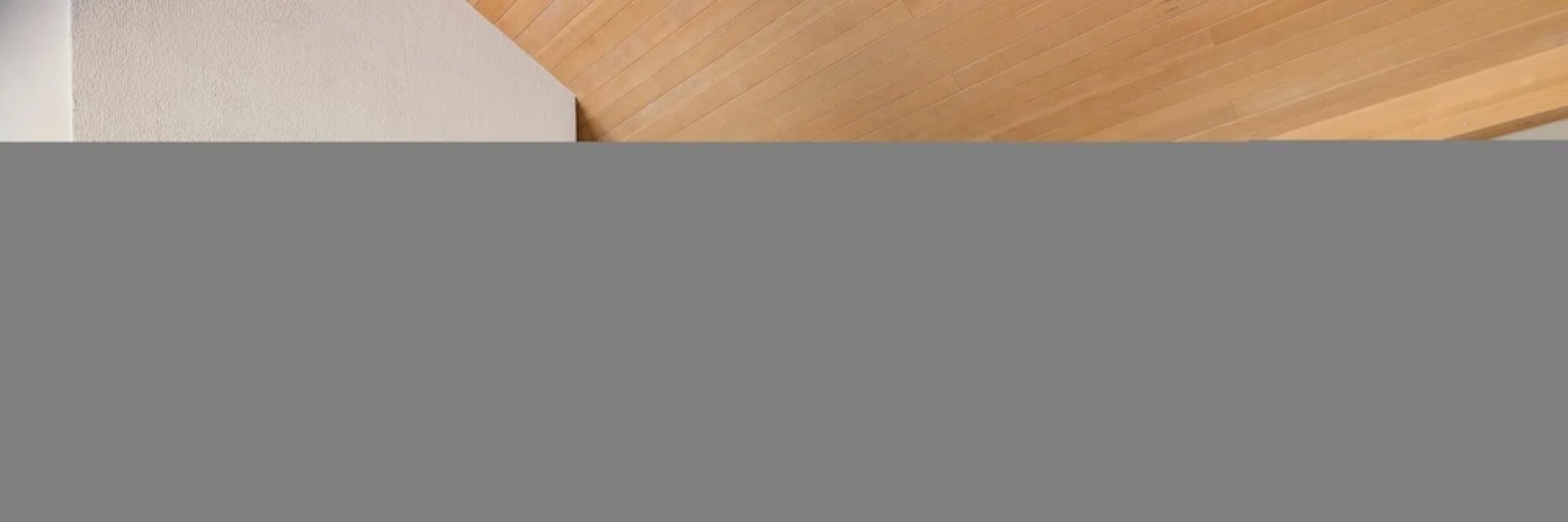 Moonshine by Avantstay