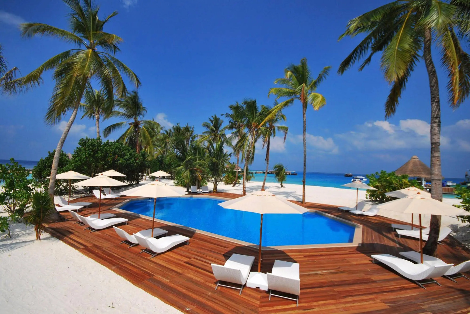 Safari Island Resort