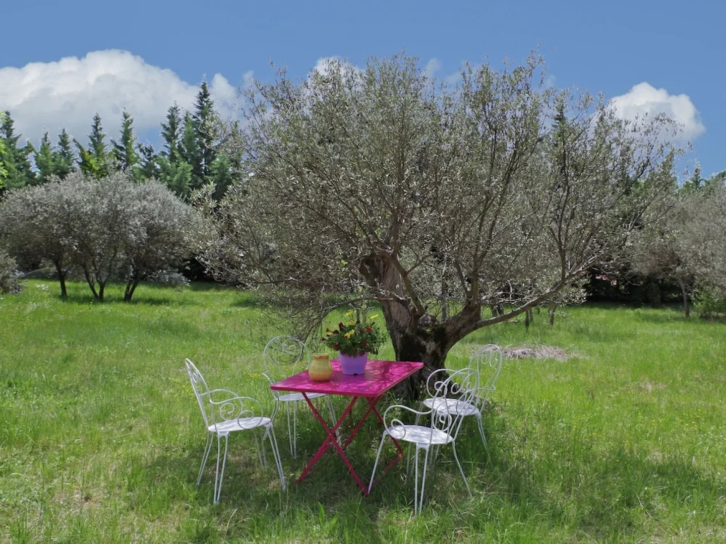 Spacious Villa in Aups With Swimming Pool