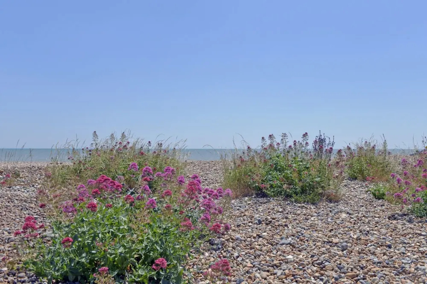 Beach Garden