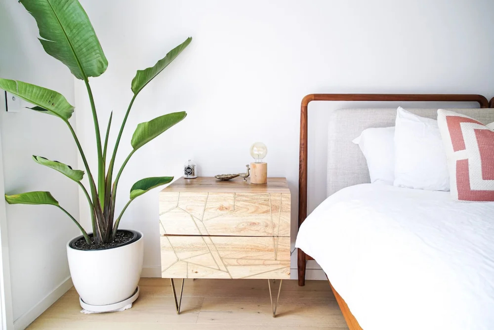 Your Luxury Escape - Paradise Palms